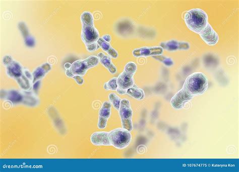 Clostridium Difficile Bacteria Stock Illustration Illustration Of