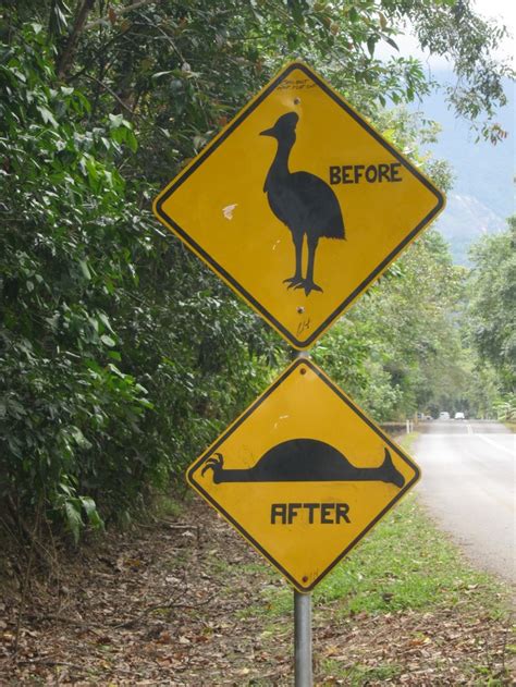 A Very Funny Sign In Australia Funny Road Signs Funny Street Signs