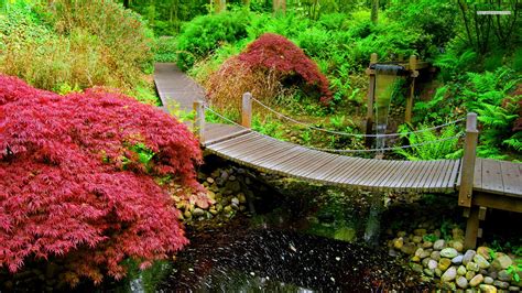 Japanese Zen Garden Images