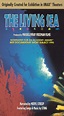 The Living Sea (1995) - Greg MacGillivray | Synopsis, Characteristics ...