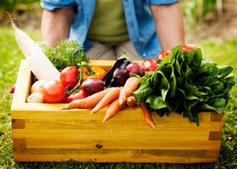 When to Harvest Your Vegetable Garden | Blain's Farm & Fleet Blog