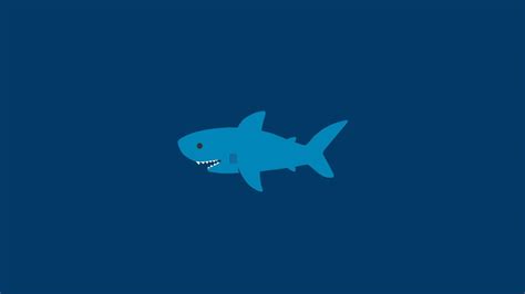 Kawaii Shark Wallpapers Top Free Kawaii Shark Backgrounds