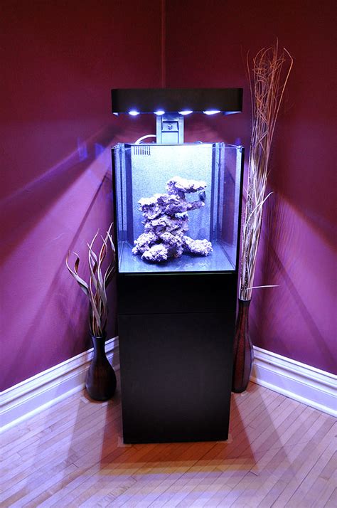 Aquascape chicago, located in channahon, illinois, is at south northern illinois drive 23956. Fish Heads' Real Reef line adds Shelf and Nano Live Rock ...