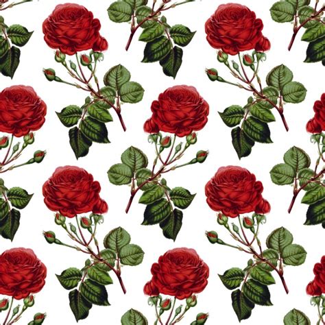 Roses Background Vintage Wallpaper Free Stock Photo