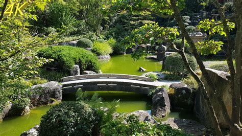 Gärten im asiatischen stil begeistern durch die ruhe, die sie ausstrahlen. Japanischer Garten Würzburg - YouTube