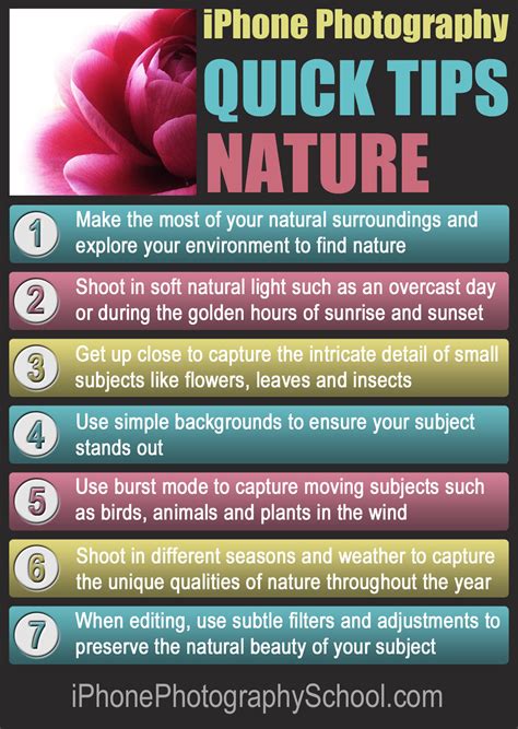 7 Quick Tips For Stunning Iphone Nature Photography