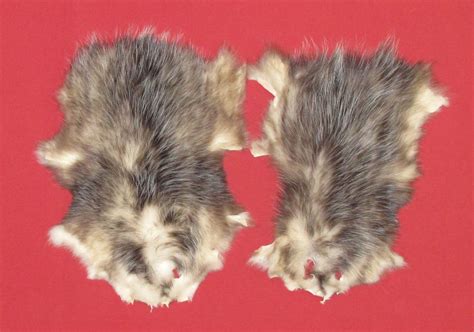 Tanned Furs Opossum 7220 0487
