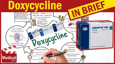 Doxycycline Vibramycin What Is Doxycycline Used For Dosage Side