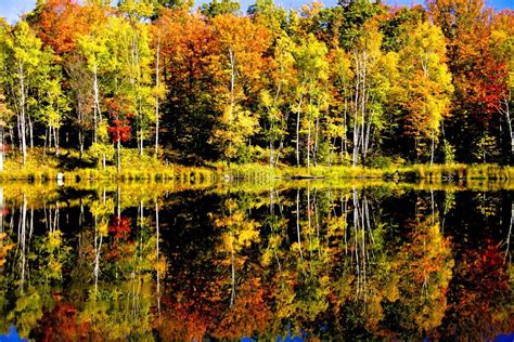 reflected fall foliage in michigan s upper peninsula smithsonian photo contest smithsonian