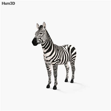 Search for your favourite step 3: Zebra HD 3D model - Animals on Hum3D
