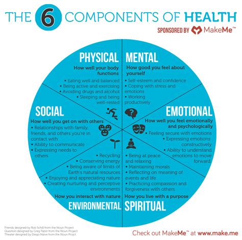 Makemes Second Infographic About The 6 Components Of Health All Six