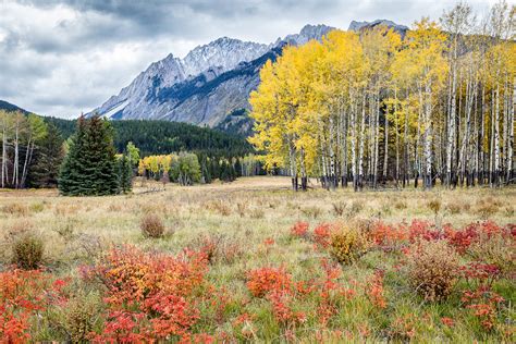 Meadow Colors Hillsdale Meadow Banff National Park Alber Flickr