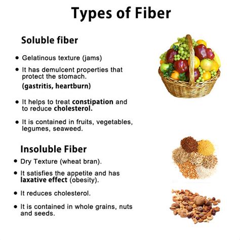 Different Types Of Fiber And Their Different Health Benefits To Your Body