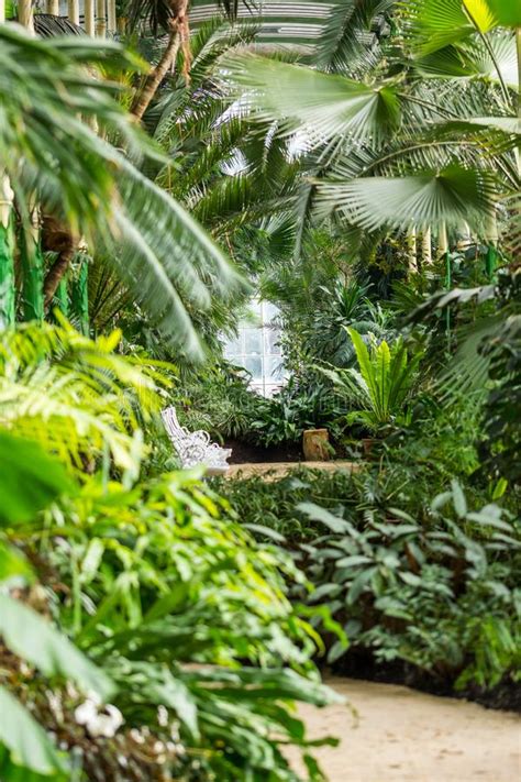 Indoor Of The Tropical Jungle Greenhouse Tropical Fresh And Exotic