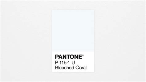 Pantone Color Of The Year 2020 Bleached Coral Making A Statement