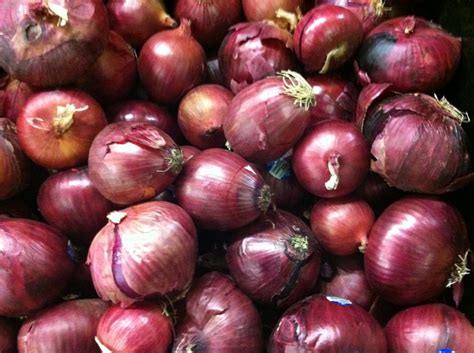 Onions - fun facts you never knew | BC Farm Fresh