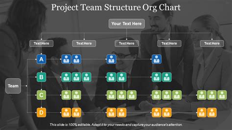 Project Management Team Structure