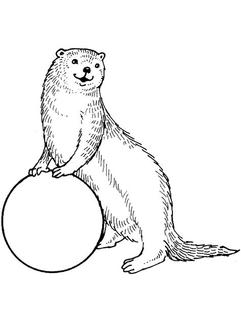 Otter Coloring Pages