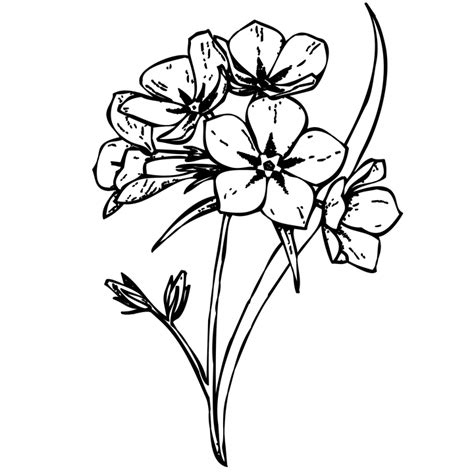 Floral Design M02csf Cut Flowers Drawing Png Download 720720