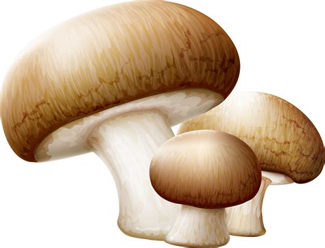 Mushroom Images Clipart 10 Free Cliparts Download Images On