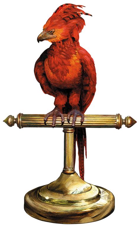 Image - Fawkes perch.png | Harry Potter Wiki | FANDOM powered by Wikia