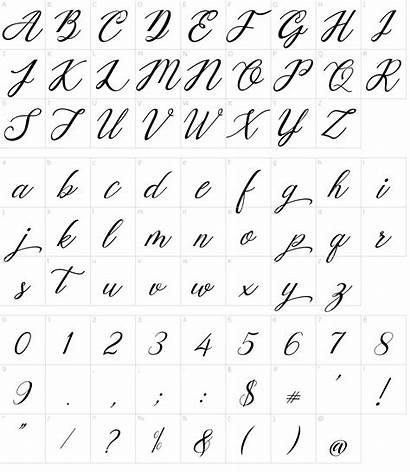 Font Calligraphy Elegant Mottingham Fonts