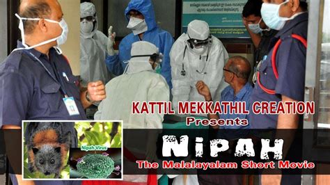Nipah virus symptoms include fever, headache, loss of consciousness and nausea and more. Nipah Malayalam short movie - YouTube