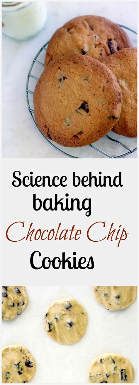 Chocolate Chip Cookies Science Behind It Recipe Chocolate Chip