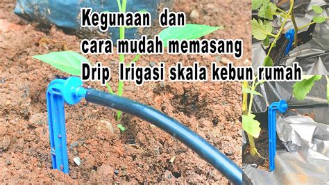 Kegunaan Dan Cara Pemasangan Selang Irigasi Drip Sistem Skala Kebun