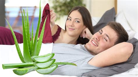 Why Aloe Vera Is No 1 For Men Amazing Benefits Of Aloe Vera For Male