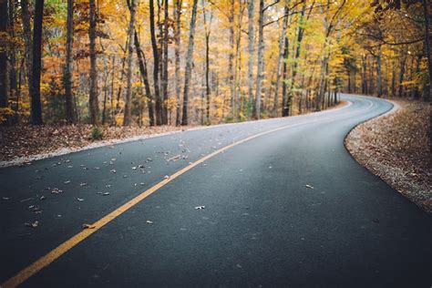 Hd Wallpaper Forest Road Winding Road Curve Autumn Fall Leaves