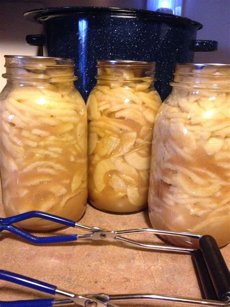 If the apple pie filling develops an off odor, flavor or appearance, or if mold appears, it should be discarded. Canned Apple Pie Filling II & Honey Sweetened Recipe ...