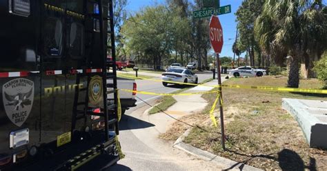 Shooting In Tarpon Springs Fl Today