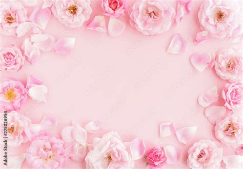 Flowers Composition Pastel Colors Background From Beautiful Pale Pink