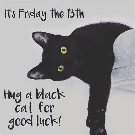 Many people believe friday the 13th carries bad luck because the number. It's Friday the 13th, so hug a black cat for good luck ...
