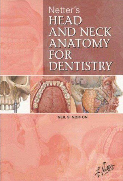 Download Netters Head And Neck Anatomy For Dentistry Pdf Free