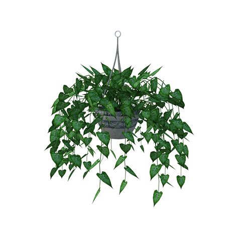 Download Hanging Plant Leaves Planter Royalty Free Stock Illustration