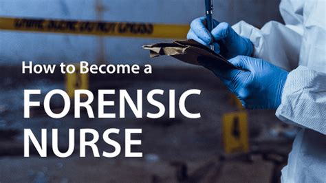 6 Steps To Becoming A Forensic Nurse Salary And Programs