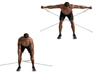 (the deltoid dozen!) by jeff cavaliere mspt, cscs. Shoulder exercises, Pulley and Exercise on Pinterest