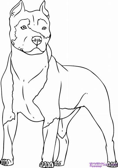 Coloring Drawing Pitbull Pages Dog Cartoon Puppy