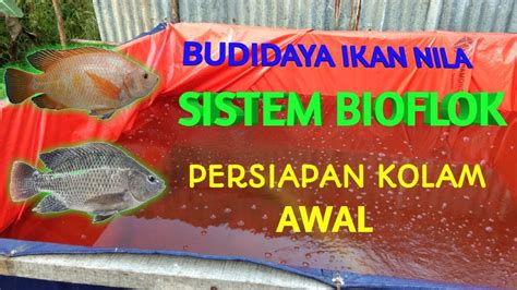 Budidaya Ikan Nila Sistem BioFlok Part 1 Persiapan Kolam Awal YouTube