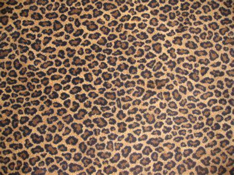 High Resolution Cheetah Print Png Here You Can Explore Hq Cheetah