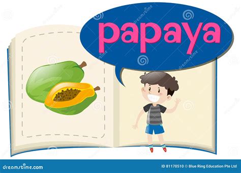 Vocabulary Book With Word Papaya Stock Vector Illustration Of Object
