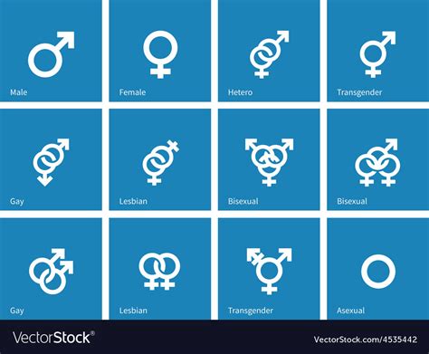 sexual orientation icons on blue background vector image