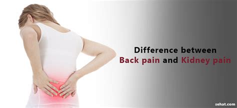 9 Major Differences Between Back Pain And Kidney Pain