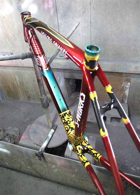 10 Bike Frame Custom Paint For You Osjakznam