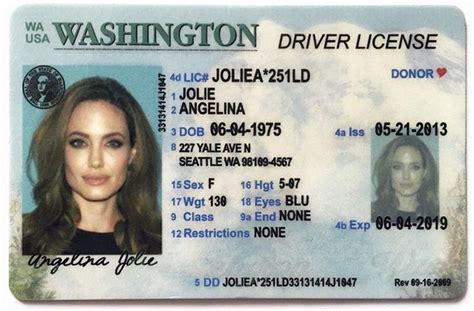 Pin On Ca Drivers License