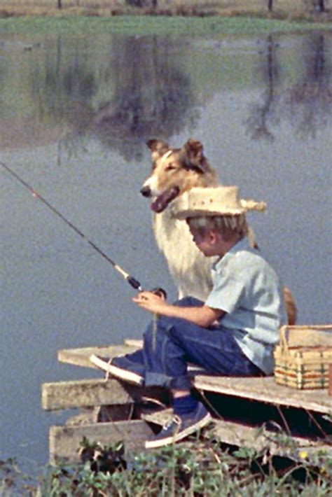 44 Best Original Lassie Images On Pinterest Collie Tv Series And
