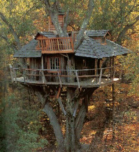 39 Amazing Tree Houses Everyone Wished They Had Growing Up Muros