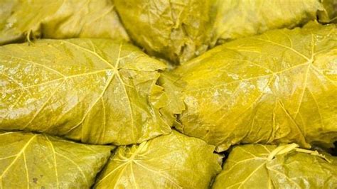 Rüyada Asma Yaprağı Görmek: Hayırlı Bir Kısmet Çok Yakında Kapınızda!